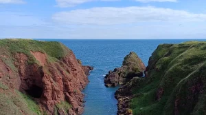 Arbroath Cliffs