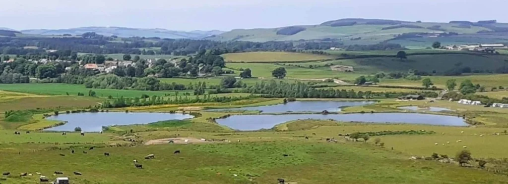 Chatton Trout Fishery