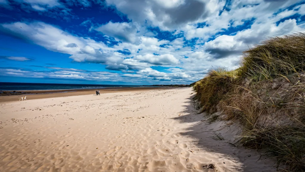 Bamburgh Beach Fishing